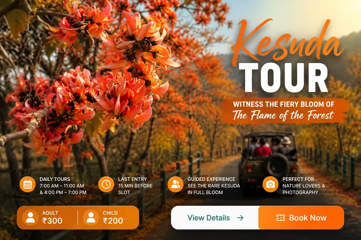 Kesuda Tour