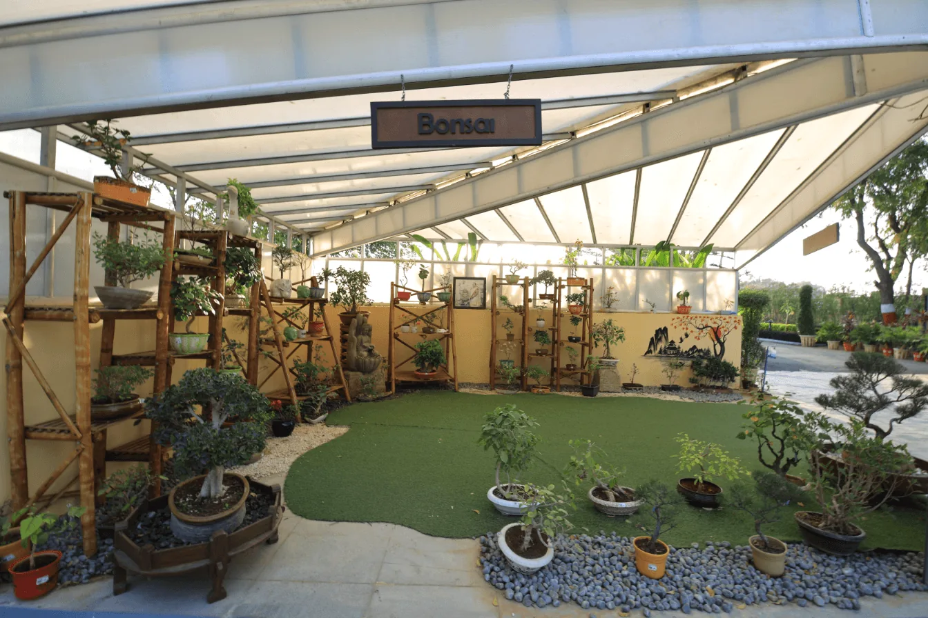 Bonsai Garden — photo 2