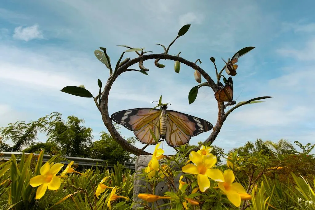 Cactus & Butterfly Garden — photo 7
