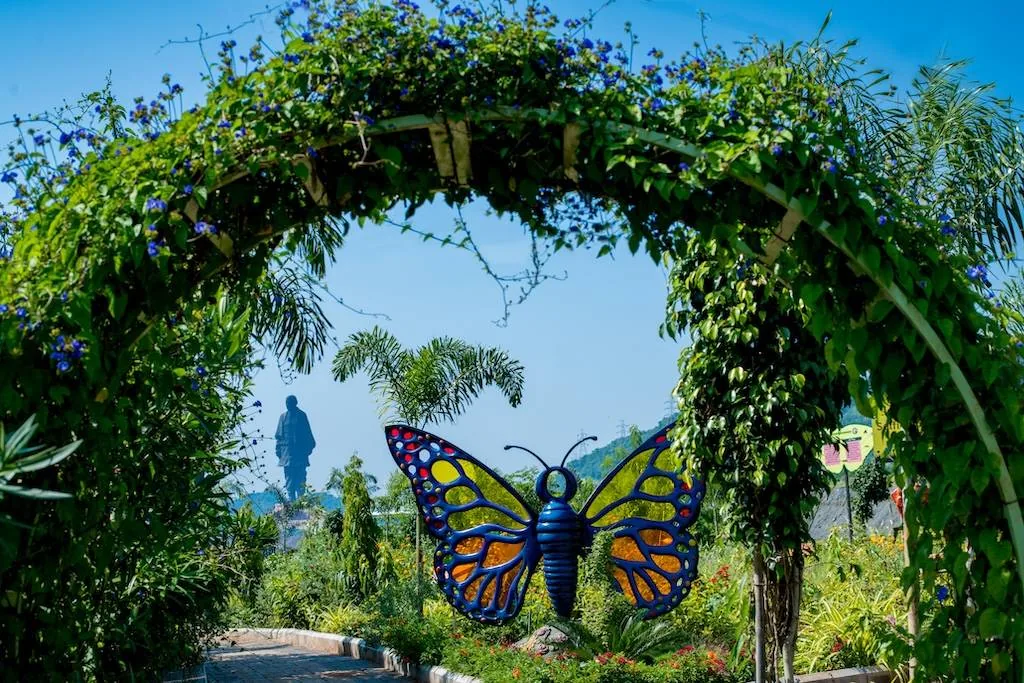 Cactus & Butterfly Garden — photo 8