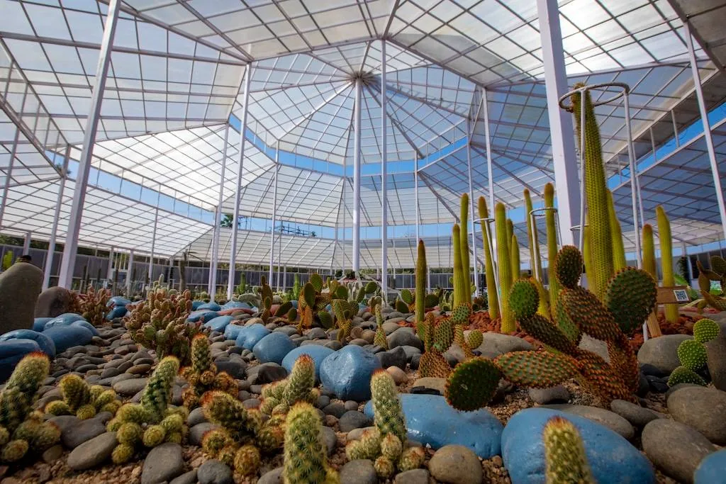 Cactus & Butterfly Garden — photo 2