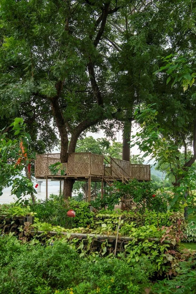 Ekta Nursery — photo 1