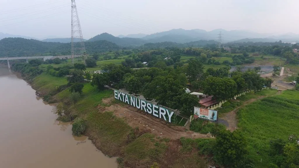 Ekta Nursery — photo 4