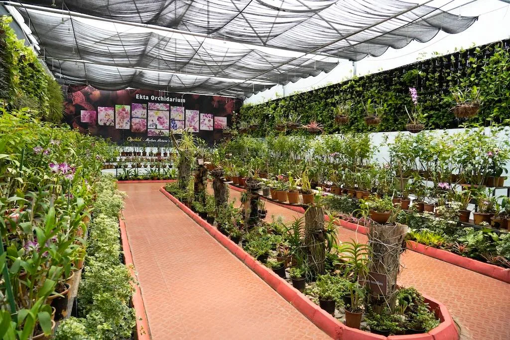 Ekta Nursery — photo 6