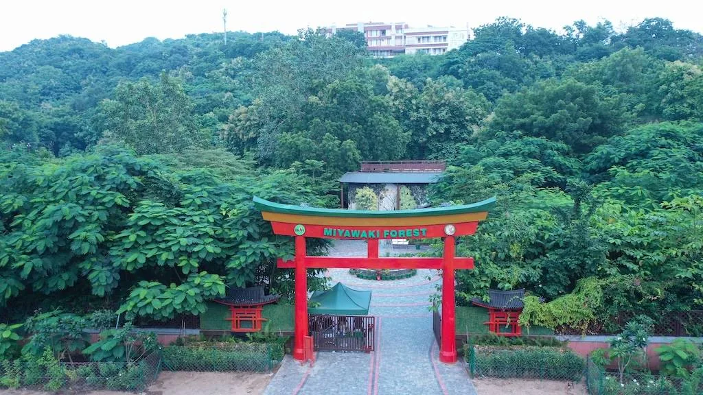 Miyawaki Forest — photo 1