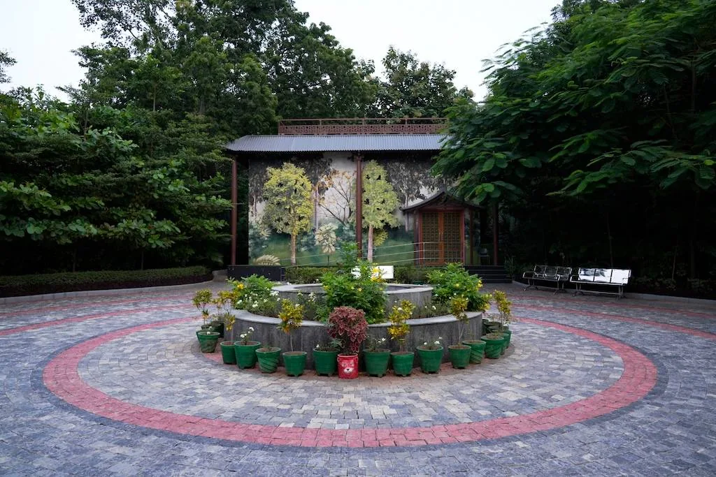 Miyawaki Forest — photo 3