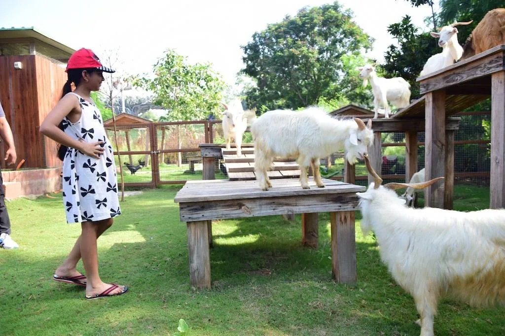 Pets Zone — photo 1