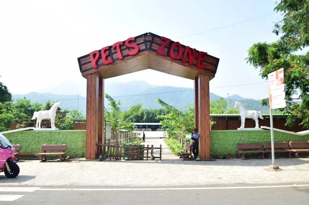 Pets Zone — photo 4