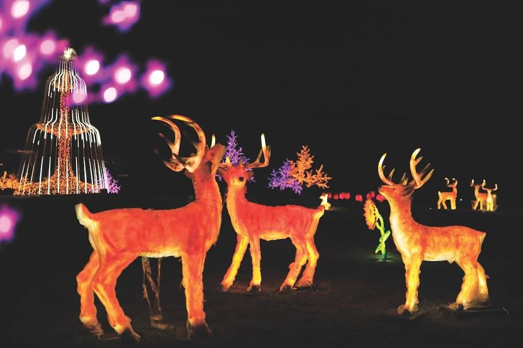 Unity Glow Garden — photo 1